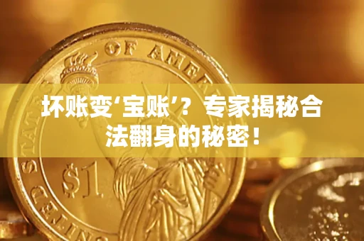 武汉坏账变‘宝账’？专家揭秘合法翻身的秘密！