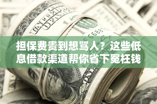 武汉担保费贵到想骂人？这些低息借款渠道帮你省下冤枉钱
