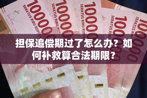 武汉担保追偿期过了怎么办？如何补救算合法期限？