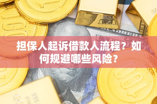 武汉担保人起诉借款人流程？如何规避哪些风险？