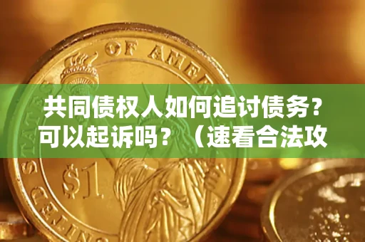武汉共同债权人如何追讨债务？可以起诉吗？（速看合法攻略）