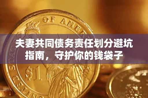 武汉夫妻共同债务责任划分避坑指南，守护你的钱袋子