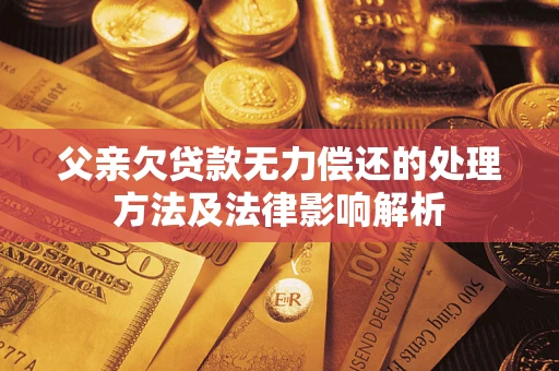 武汉父亲欠贷款无力偿还的处理方法及法律影响解析