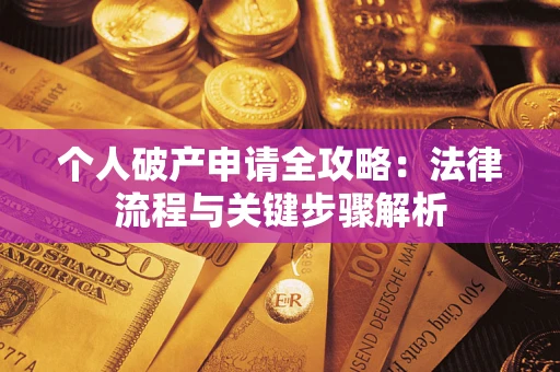 武汉个人破产申请全攻略：法律流程与关键步骤解析